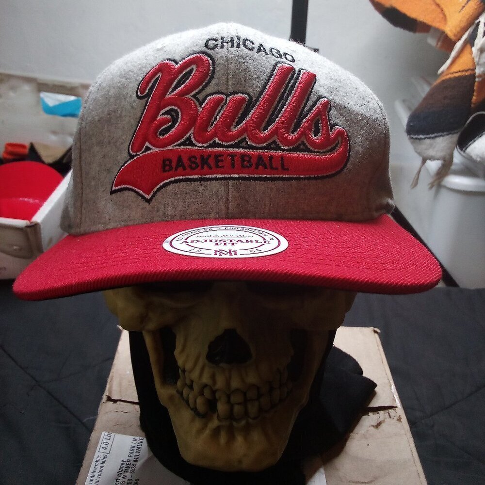 NWT Mitchell & Ness Chicago Bulls Tailsweep Strapback Hat Cap